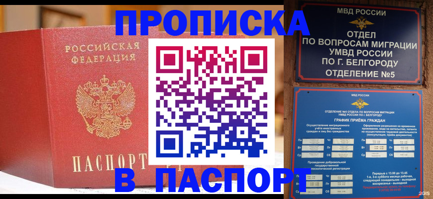 временная регистрация в квартире в Клинцах